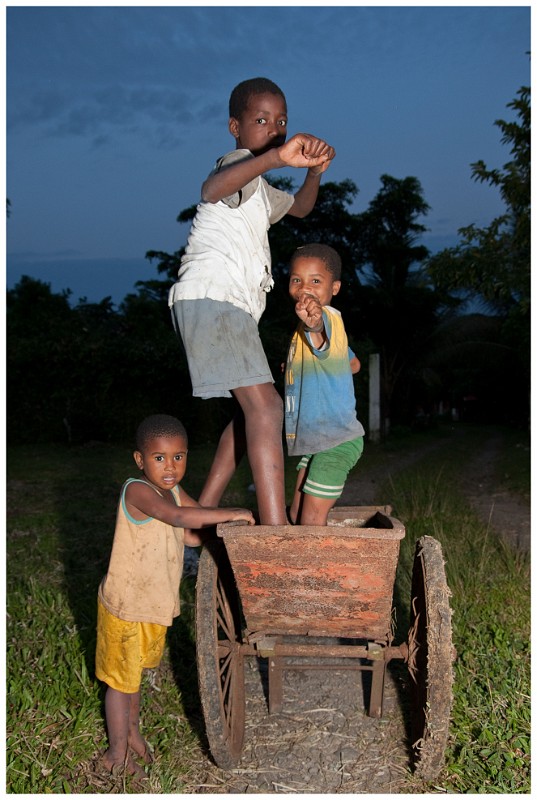 Coaster Wagon Gang.jpg